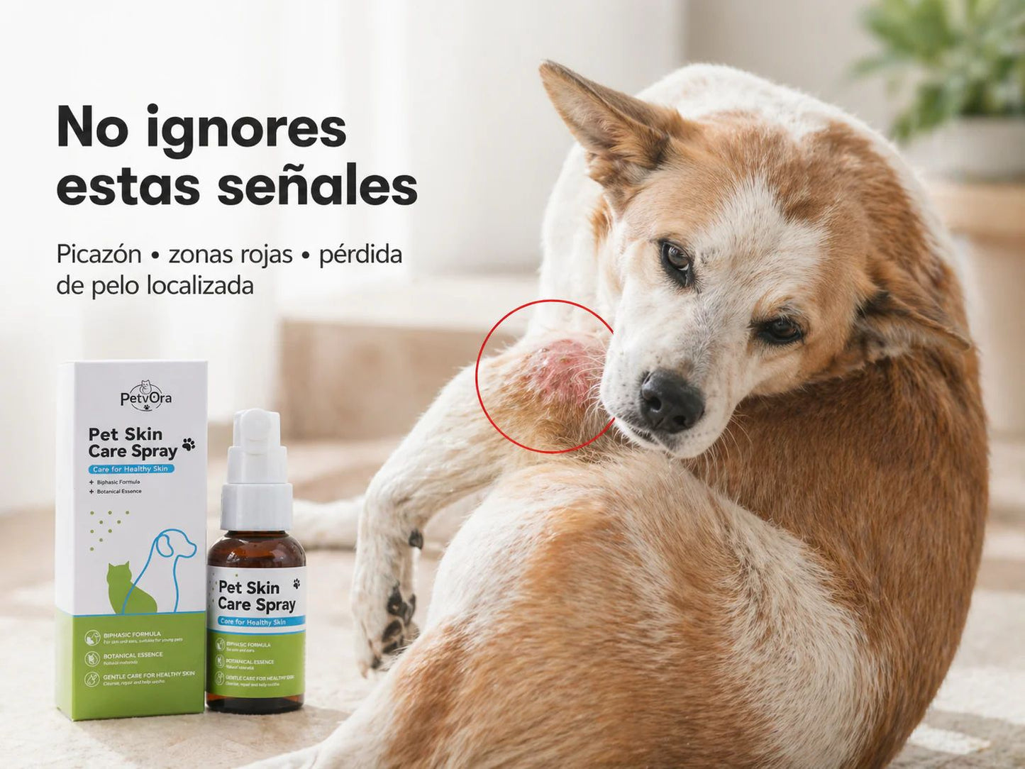 OFERTA 2 X 1 : PetSkin™️ – Fórmula para Piel Sana, Menos Picazón y Pelaje Brillante en tu Mascota