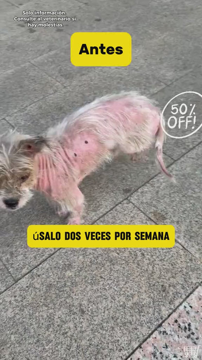 OFERTA 2 X 1 : PetSkin™️ – Fórmula para Piel Sana, Menos Picazón y Pelaje Brillante en tu Mascota